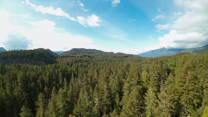 Obraz premium An aerial wide shot sweeps over a vast green forest canopy covering rolling mountain hills and deep wilderness valleys under a beautiful blue sky filled with white clouds.