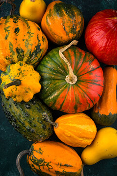 Set of various decorative pumpkin on green background