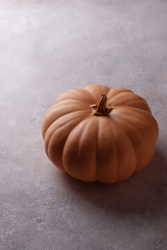 Raw fresh cut pumpkin on dark background dark mood style