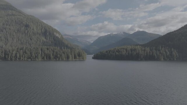 Aerial View of Mountain Lake and Forested Island