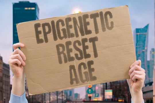 "Epigenetic reset age" Reprogramming cells to a younger state. EPIGENETIC. RESET. CELL. AGE. REPROGRAM.