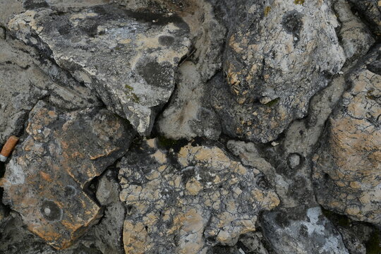 Muted Gray Earthy Rock Texture Background Rough Granular Weathered Stone Surface with Pits and Crevices Ideal for Organic and Natural Design Elements