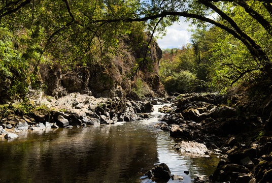 Rocks and water flowing water, in natural landscape with trees, with rocks, water, trees, from a landscape perspective, with green, brown accents, and serene natural mood.