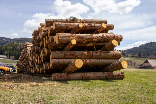 A large stack of harvested timber logs piled in a lumber yard. Photo taken in Steiermark, Austria.