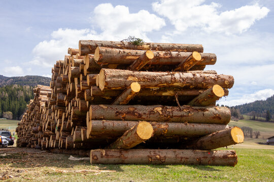 A large stack of harvested timber logs piled in a lumber yard. Photo taken in Steiermark, Austria.