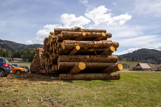 A large stack of harvested timber logs piled in a lumber yard. Photo taken in Steiermark, Austria.