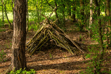 A handmade stick teepee shelter built from fallen branches of the forest. © Andre