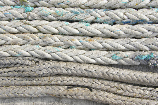 Rough Hewn Ropes at a Marina