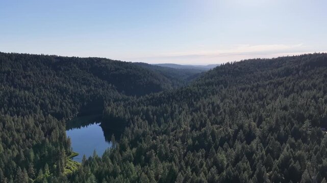 Lower Scotts Flat Lake Surrounded By Pine Forest Nevada County, California, USA
