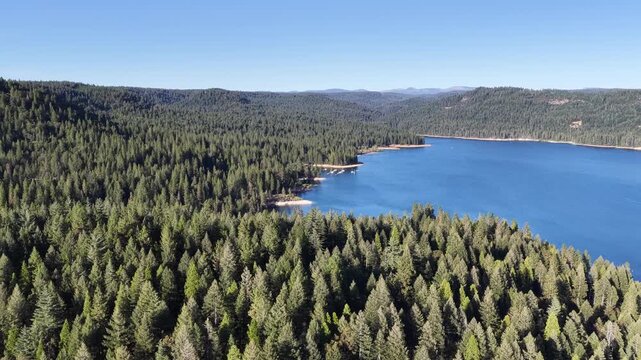 Scotts Flat Reservoir Surrounded By Pine Forest In Nevada County, California, USA