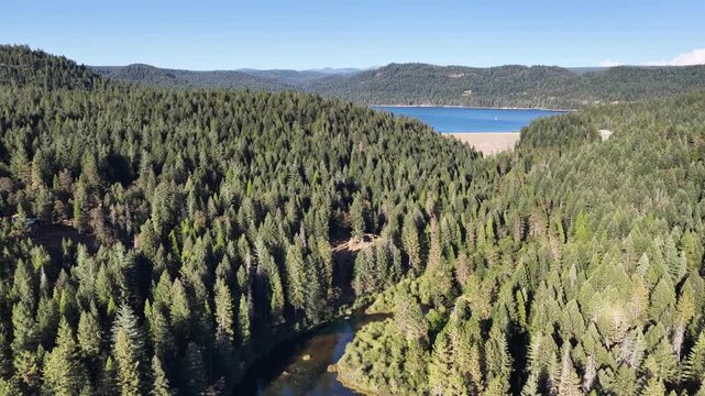 Scotts Flat Reservoir Surrounded By Pine Forest In Nevada County, California, USA