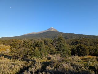 Fototapeta premium Conical Mountain Peak Above Patagonian Forest Near Ushuaia
