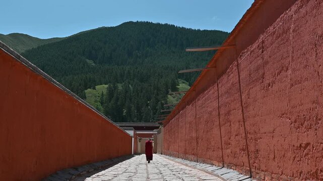 Red robed Buddhist monk walking along stone path in Labrang Monastery, Gansu, China