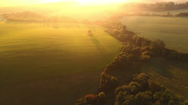 Golden sunrise illuminating a misty patchwork of fields and hedgerows
