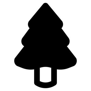 pine tree icon illustration