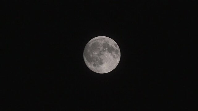 A full moon floating in the summer night sky
A beautiful full moon hanging over the night sky of Japan in summer.