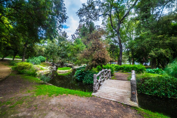Fototapeta premium Pond in the baths of Moctezuma in the Chapultepec forest