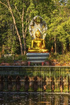 Seated gilded Buddha statue over a small waterfall, near Lampang, Lampang province, Thailand