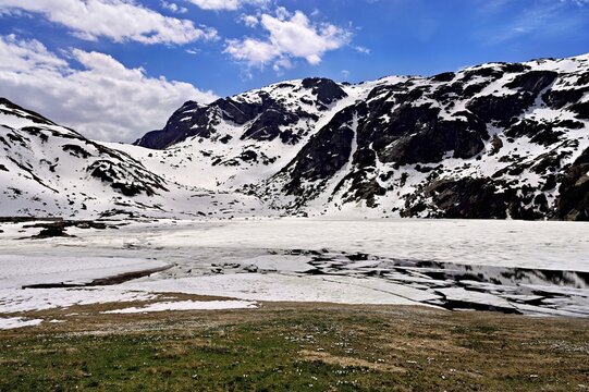 Ice floes drift in the half-frozen upper Murgsee, in the foreground, white flowering spring crocuses (Crocus vernus), Murg Valley, Canton of St. Gallen, Switzerland
