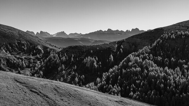 Mountainous landscape, in the back the mountain scenery of the Dolomites, black and white photo, skiing and hiking area Merano 2000, near Merano, South Tyrol, Italy