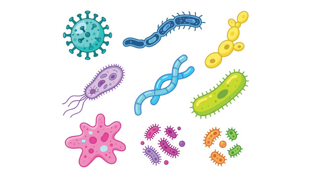 Microbiology bacteria and virus cell vector illustration set with microscopic germs pathogens amoeba and colorful biological microbes