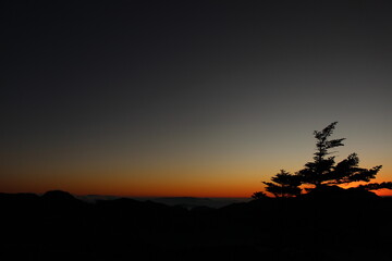 Fototapeta premium 石鎚山 雲海 マジックアワー 瓶ヶ森 夕日 山影 トワイライト 愛媛県 絶景 地球環境 背景素材