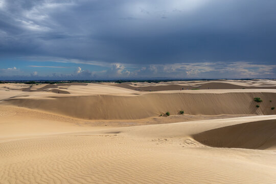 Scenic View of Medanos de Coro Sand Dunes under Blue Sky, Venezuela Tourism