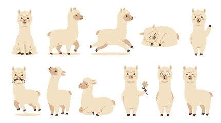 Fototapeta premium Cute Llama and Alpaca Vector Character Set, Kawaii Beige Animal Cartoon Illustrations in Different Poses, Isolated on White Background for Children's Nursery Decor and Sticker Graphic Design