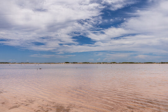Vibrant Pink Water of Cumaragua Salt Mine Under Cloudy Sky in Falcon Venezuela, Tropical Travel Destination