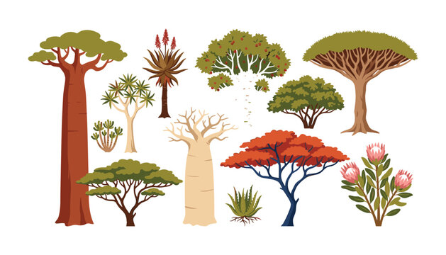 African trees and plants set featuring baobab acacia dragon blood tree aloe and protea flowers isolated on white background vector illustration