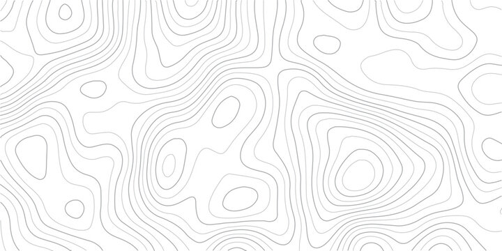 Minimalist contour lines topographic map background. Elegant white scenery abstract texture with gray relief lines. Seamless landscape elevation vector pattern.