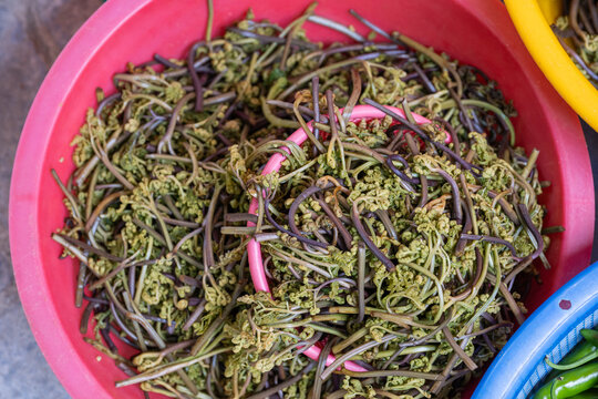 boiled bracken fern stems piled in red plastic basket displayed for sale at local korean traditional market food stall.