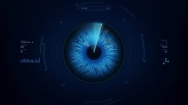 Iris biometric eye scanner interface scanning and authorizing identity with a match confirmation