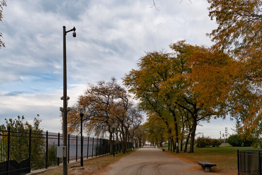 Autumn nature landscape. Fall leaves in park. Nature fall season. Fall season park. Autumn leaf natural foliage at park alley. Landscape autumn nature. Yellow leaves on tree. Seasonal autumnal tree