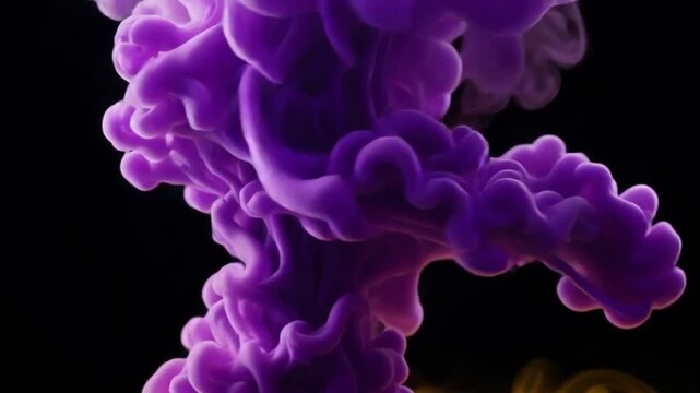 Purple and yellow ink clouds swirling against black background in slow motion