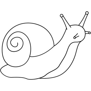 Cute snail crawling forward, adorable animal with spiral shell, clean black outline illustration.