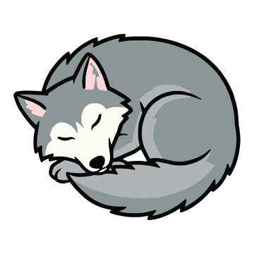 cartoon cute sleeping wolf wild animal nature flat color vector illustration template design