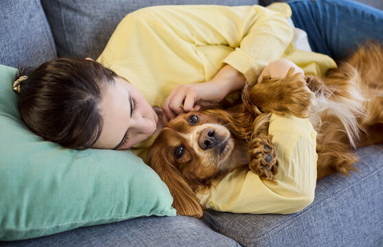 Woman and dog cuddle on home sofa. Owner hugs cocker spaniel, showing affection, comfort and trust indoors. Great for pet care, wellbeing and lifestyle ads. Warm bonding and loyal companionship.