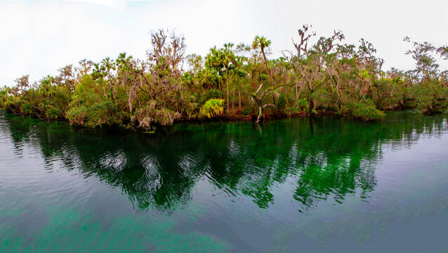 Blue Springs State Park, Florida