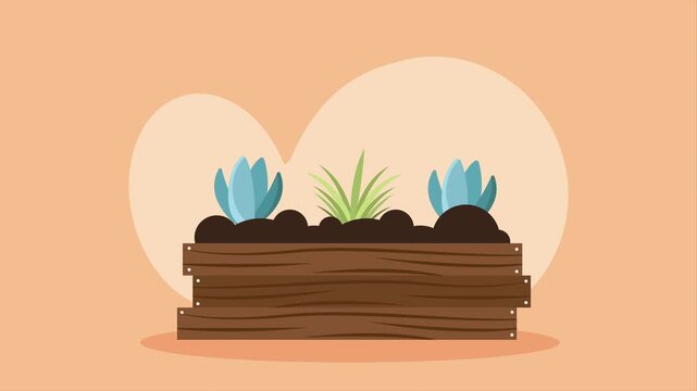 Wooden planter box with growing plants animation, time lapse footage of gardening and nature growth.