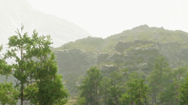 Fog covers the mountains in the distance. Green trees grow in the foreground. This scene shows a natural landscape during the day. The weather appears cloudy and misty.