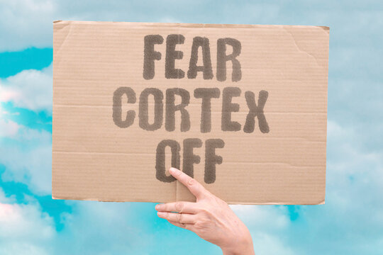 "Fear cortex off" Amygdala shuts down rational brain. FEAR. CORTEX. SHUTS. RATIONAL. AMYGDALA.