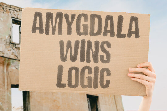 "Amygdala wins logic" Fear overrides rational thought in conflict. FEAR. RATIONAL. OVERRIDE. CONFLICT. BRAIN.