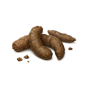 Realistic Animal Dung Pieces Hand Drawn Illustration Isolated on White Background