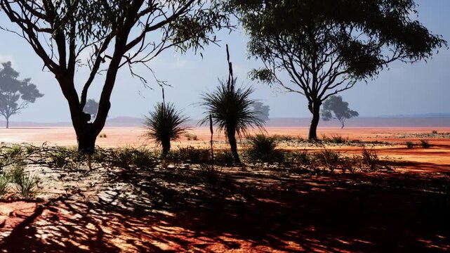 The scene shows a desert landscape with scattered trees and grass like plants. The sunlight creates distinct shadows on the ground. The sky appears clear and bright.
