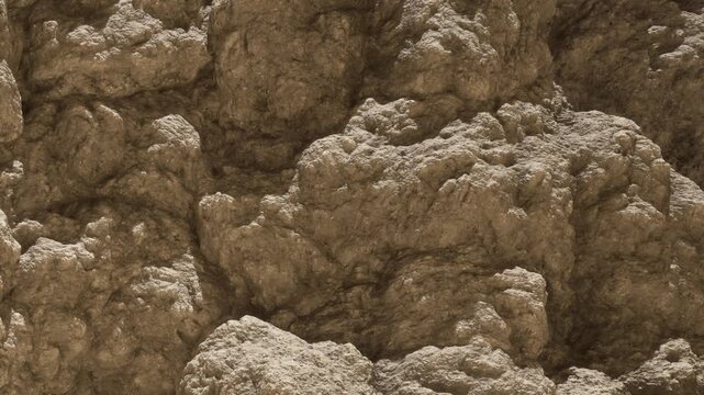 The scene shows a close up view of a rocky surface. The texture appears rough and uneven. Natural light highlights the details and colors of the rocks.