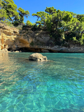 Crystal clear turquoise sea water in a hidden rocky bay with pine trees vertical
