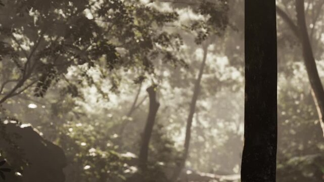 Morning light filters through the trees in a dense forest. Shadows and soft hues create a natural scene with rocks and greenery surrounding the area.