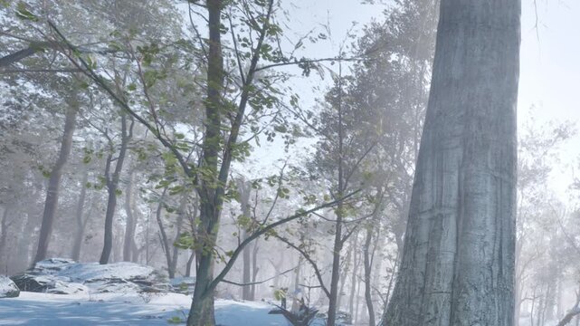 A winter scene shows a forest with tall trees and snow on the ground. Mist surrounds the area, creating a soft atmosphere. The sunlight filters through the branches.
