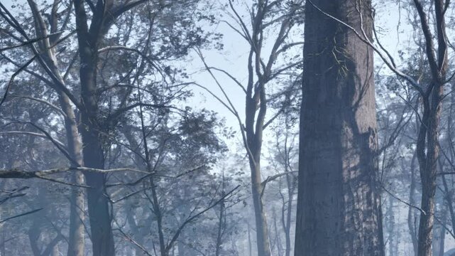 A scene of a forest with large trees. The light is dim and soft, indicating early morning. Branches and leaves create shadows in the background.